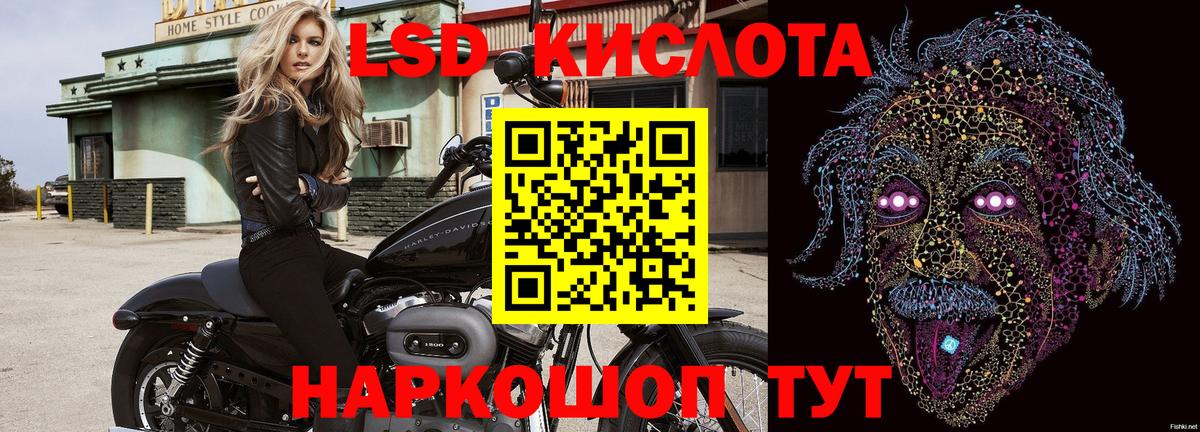 Наркотические марки 1500мкг  Наркотические марки 1500мкг  Строитель  Вход с VPN 