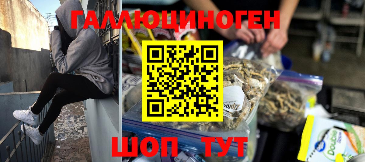 Псилоцибиновые грибы прущие грибы Строитель