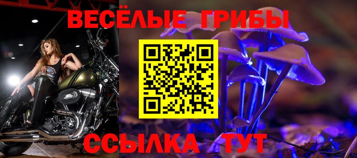 Псилоцибиновые грибы Psilocybe  где можно купить   Строитель  Галлюциногенные грибы Psilocybine cubensis  Вход с VPN 